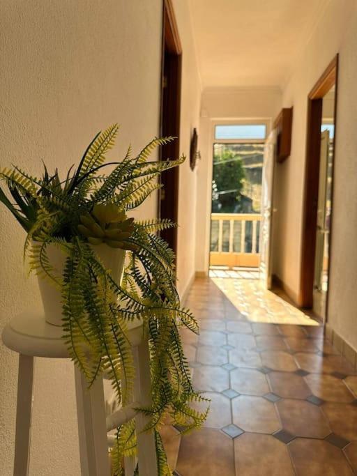 Casa De Sergude Peso da Régua Buitenkant foto